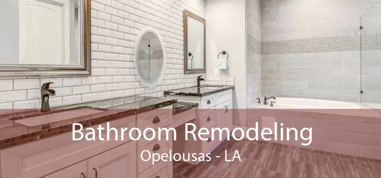 Bathroom Remodeling Opelousas - LA