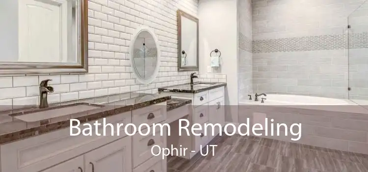Bathroom Remodeling Ophir - UT