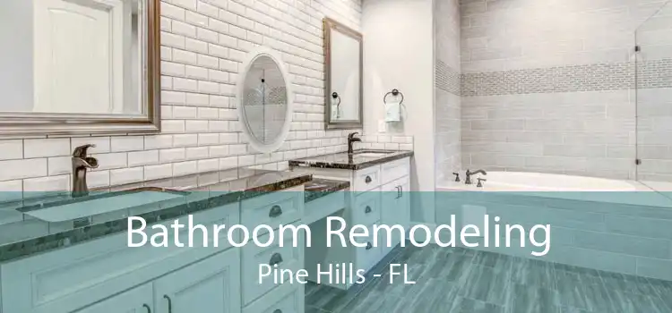 Bathroom Remodeling Pine Hills - FL