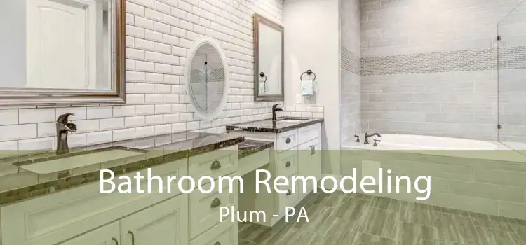 Bathroom Remodeling Plum - PA