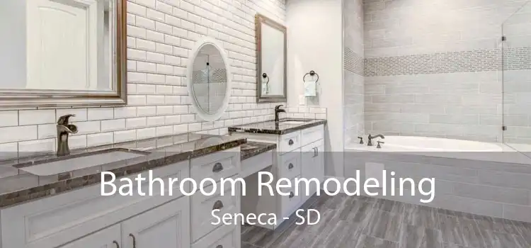 Bathroom Remodeling Seneca - SD