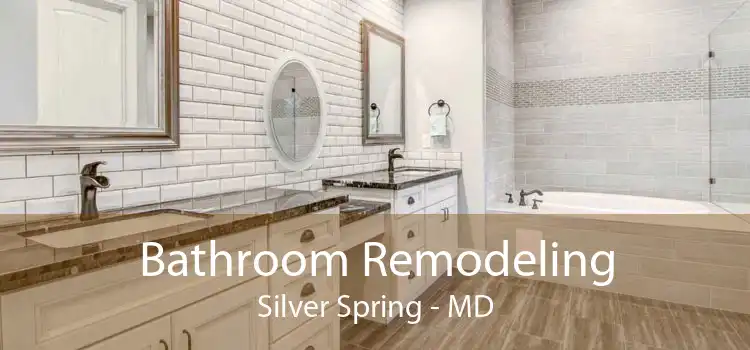 Bathroom Remodeling Silver Spring - MD