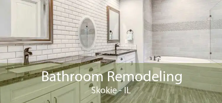 Bathroom Remodeling Skokie - IL
