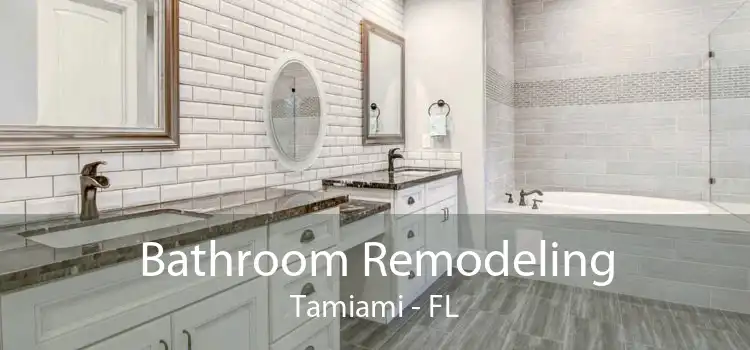 Bathroom Remodeling Tamiami - FL