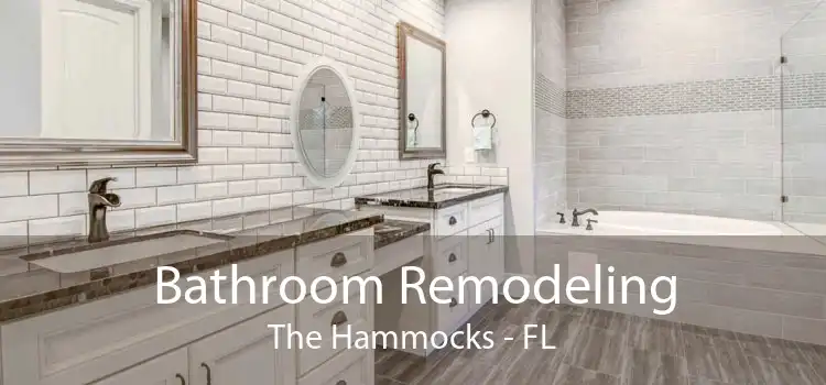 Bathroom Remodeling The Hammocks - FL