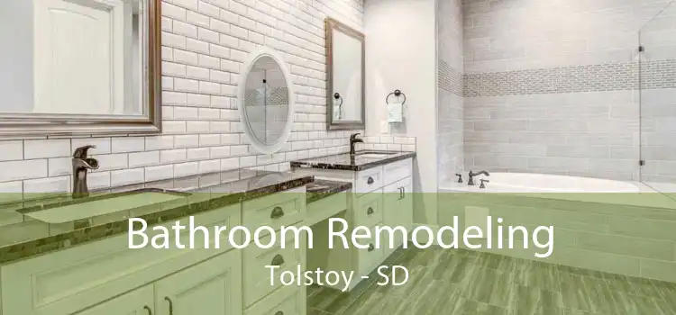 Bathroom Remodeling Tolstoy - SD
