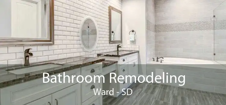 Bathroom Remodeling Ward - SD