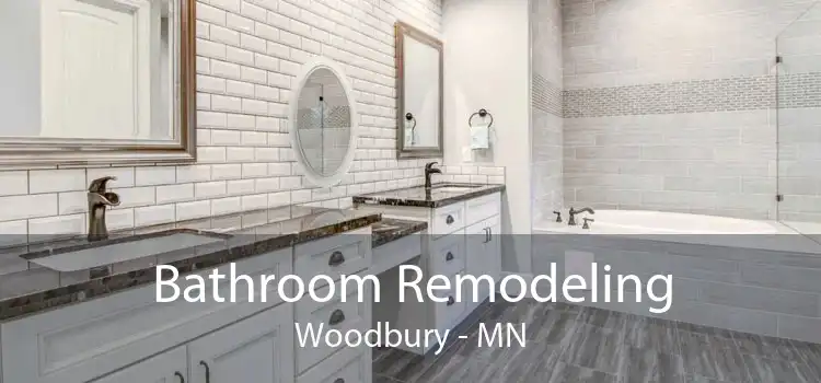 Bathroom Remodeling Woodbury - MN