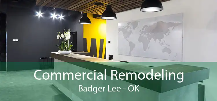 Commercial Remodeling Badger Lee - OK