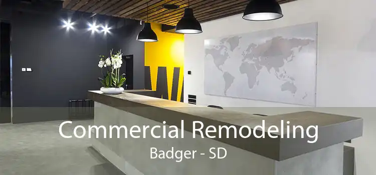 Commercial Remodeling Badger - SD