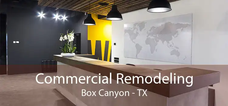 Commercial Remodeling Box Canyon - TX