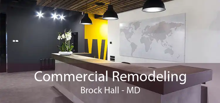 Commercial Remodeling Brock Hall - MD