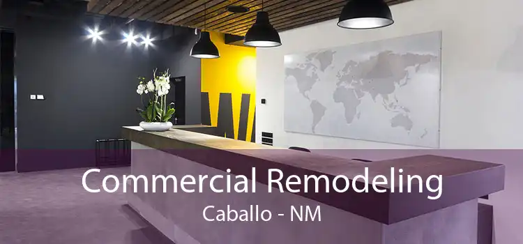 Commercial Remodeling Caballo - NM