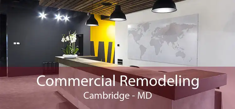 Commercial Remodeling Cambridge - MD