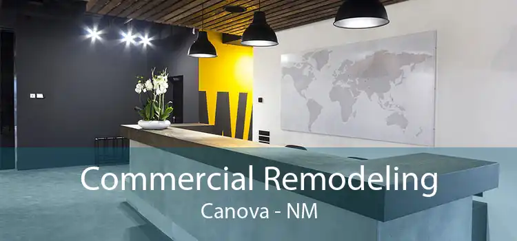 Commercial Remodeling Canova - NM