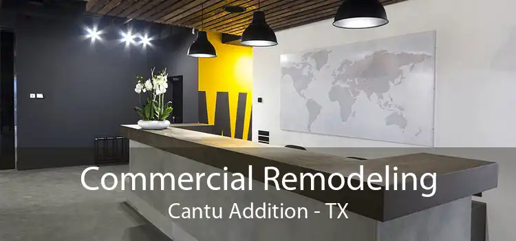 Commercial Remodeling Cantu Addition - TX