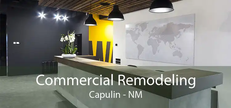 Commercial Remodeling Capulin - NM