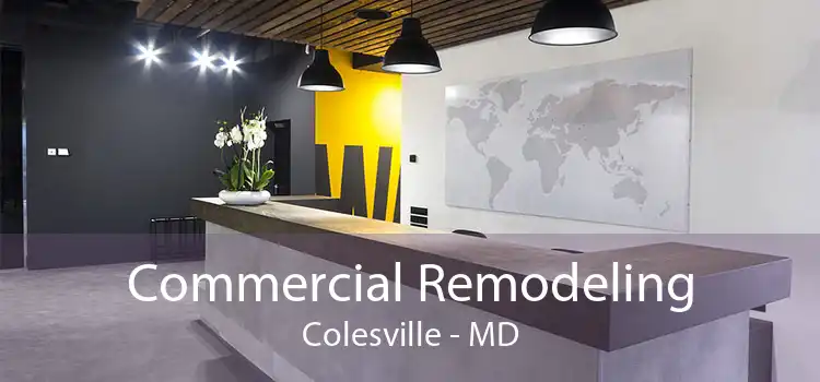 Commercial Remodeling Colesville - MD