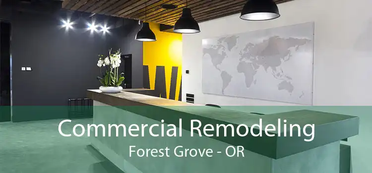 Commercial Remodeling Forest Grove - OR