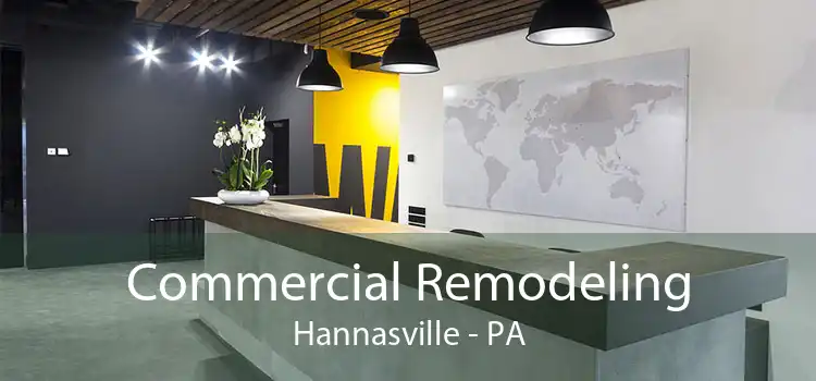 Commercial Remodeling Hannasville - PA
