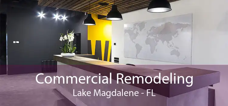 Commercial Remodeling Lake Magdalene - FL
