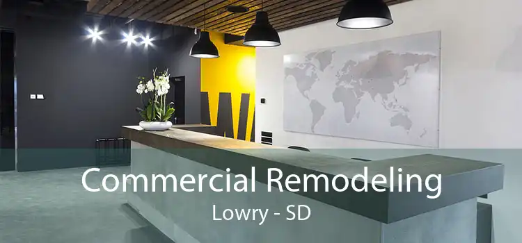 Commercial Remodeling Lowry - SD