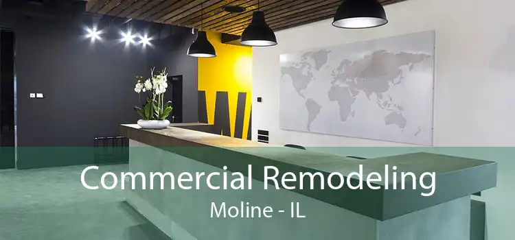 Commercial Remodeling Moline - IL