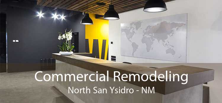 Commercial Remodeling North San Ysidro - NM