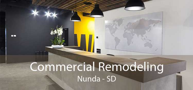 Commercial Remodeling Nunda - SD