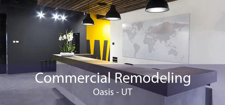 Commercial Remodeling Oasis - UT