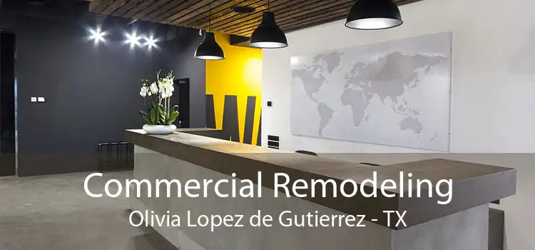 Commercial Remodeling Olivia Lopez de Gutierrez - TX