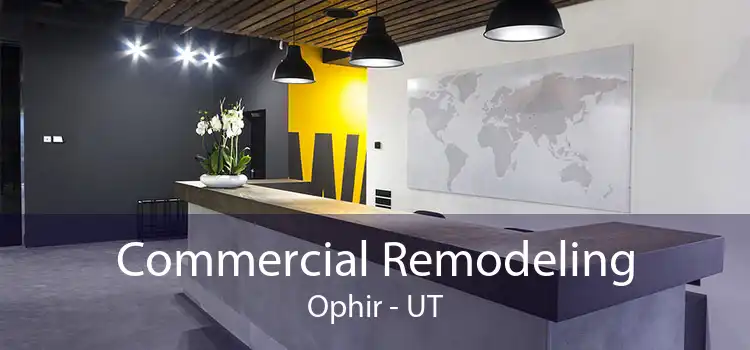 Commercial Remodeling Ophir - UT
