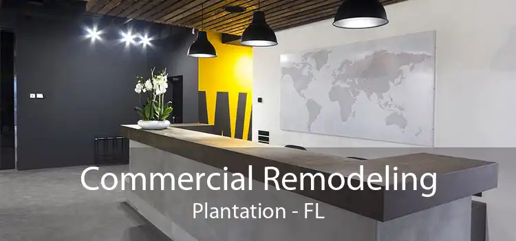 Commercial Remodeling Plantation - FL
