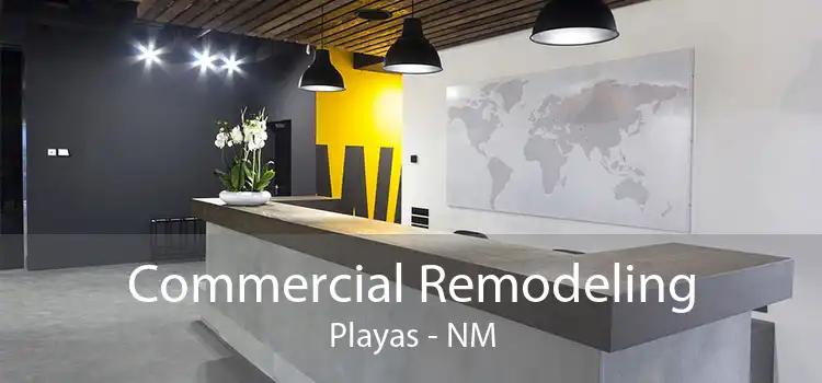 Commercial Remodeling Playas - NM