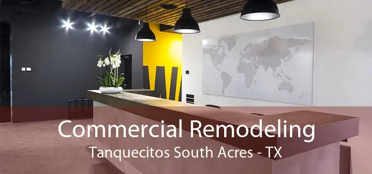 Commercial Remodeling Tanquecitos South Acres - TX