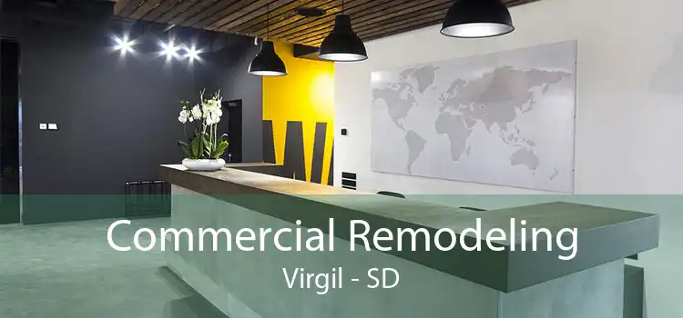 Commercial Remodeling Virgil - SD