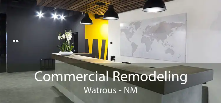 Commercial Remodeling Watrous - NM