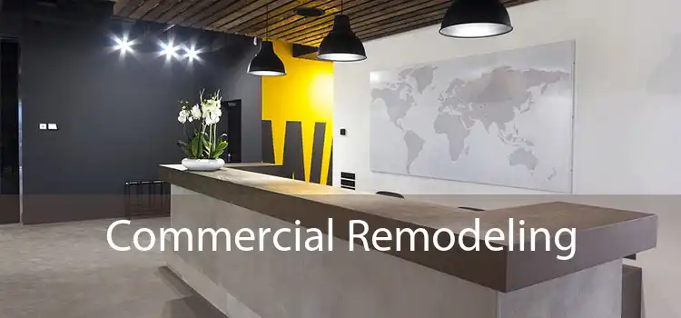 Commercial Remodeling 