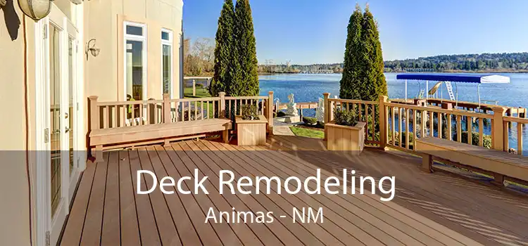 Deck Remodeling Animas - NM