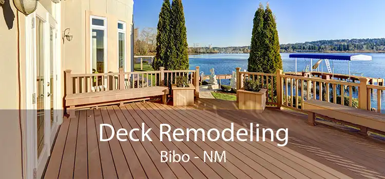 Deck Remodeling Bibo - NM