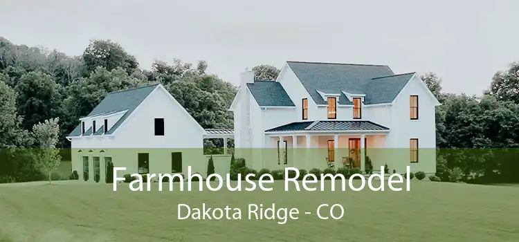 Farmhouse Remodel Dakota Ridge - CO