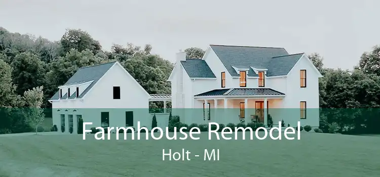 Farmhouse Remodel Holt - MI