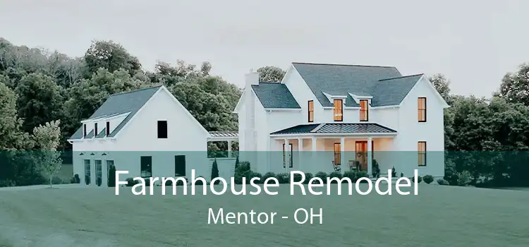 Farmhouse Remodel Mentor - OH