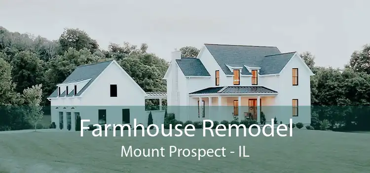 Farmhouse Remodel Mount Prospect - IL