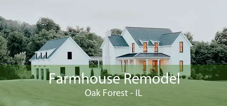 Farmhouse Remodel Oak Forest - IL