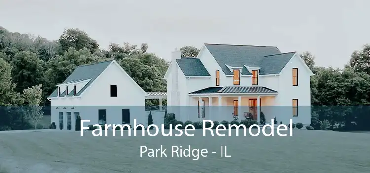Farmhouse Remodel Park Ridge - IL