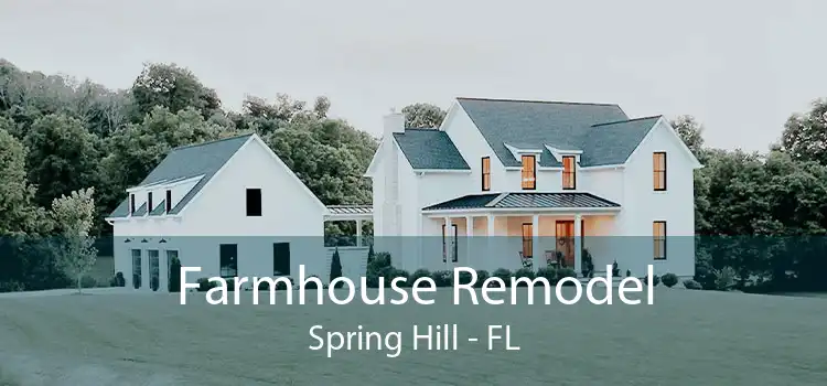 Farmhouse Remodel Spring Hill - FL