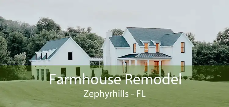 Farmhouse Remodel Zephyrhills - FL