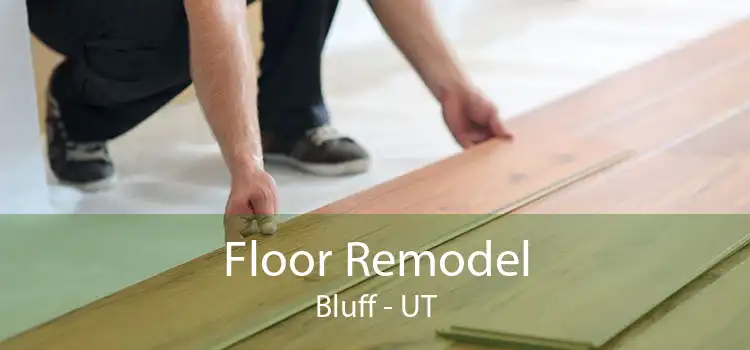Floor Remodel Bluff - UT