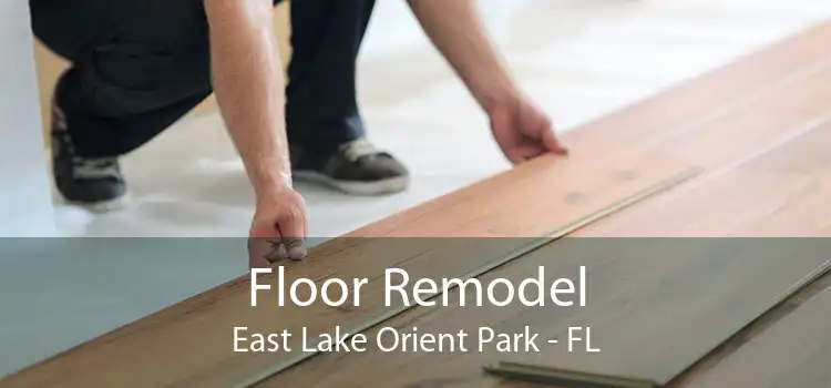 Floor Remodel East Lake Orient Park - FL